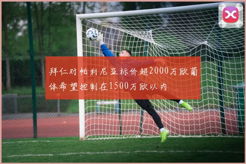 拜仁对帕利尼亚标价超2000万欧葡体希望控制在1500万欧以内